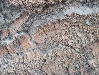otta di Serracozzo-Eruzione 1971 20100425 083